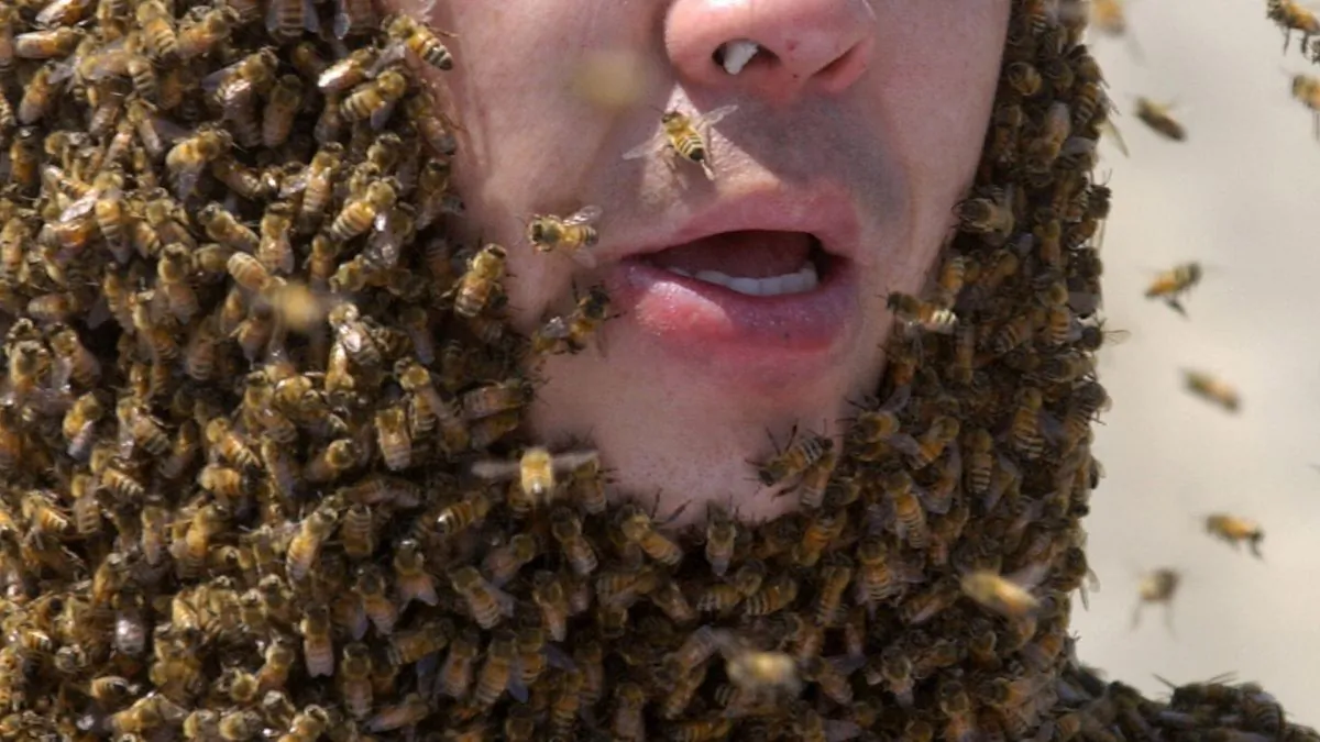 An Arizona man died after being attacked by a swarm of bees at his home, on April 7, 2019. (Jung Yeon-Je/AFP/Getty Images)