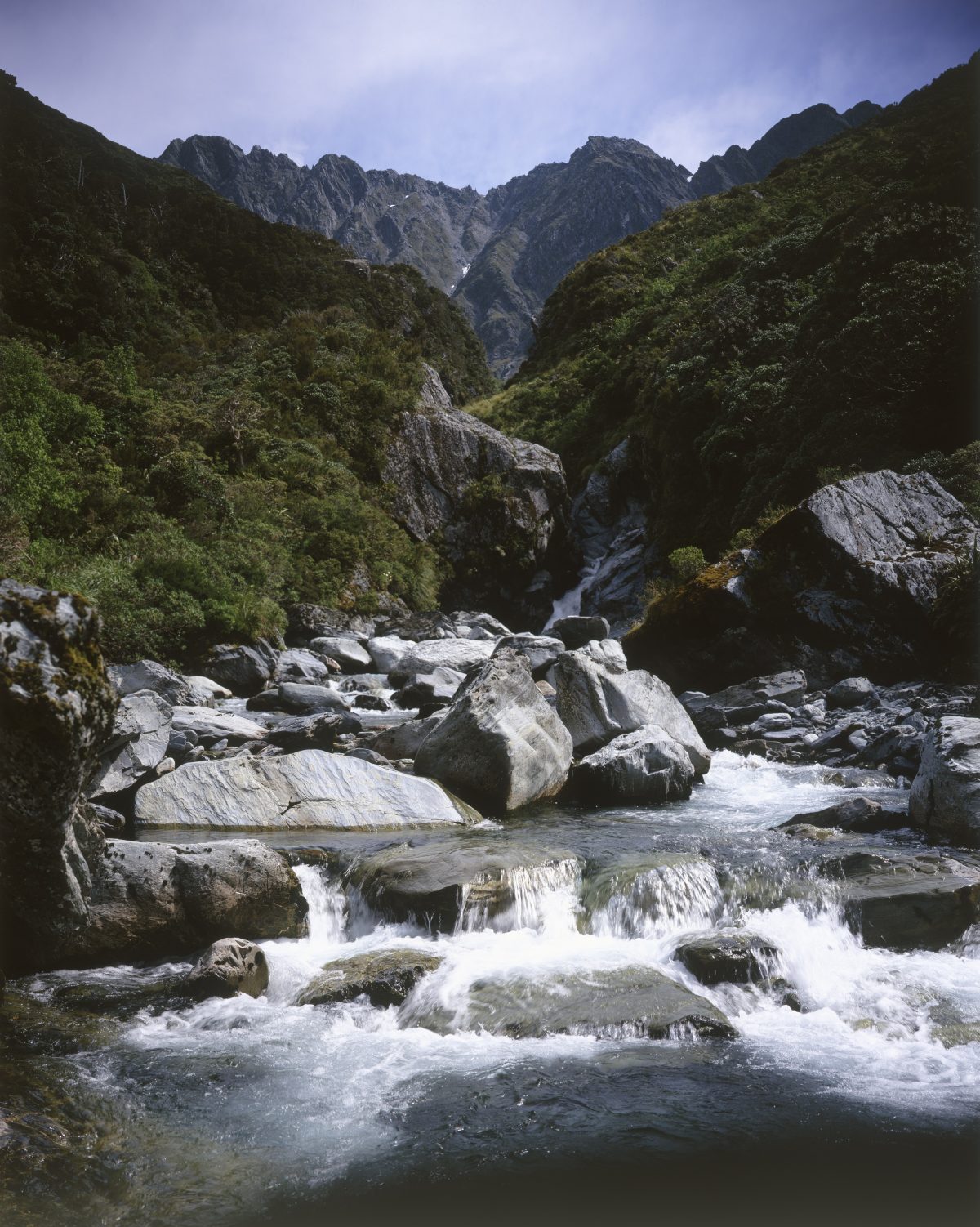 Greenstone water new zealand