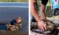 Drone Captures Photographer’s Incredible Crawl Through Thick Mud to Rescue Baby Eagle