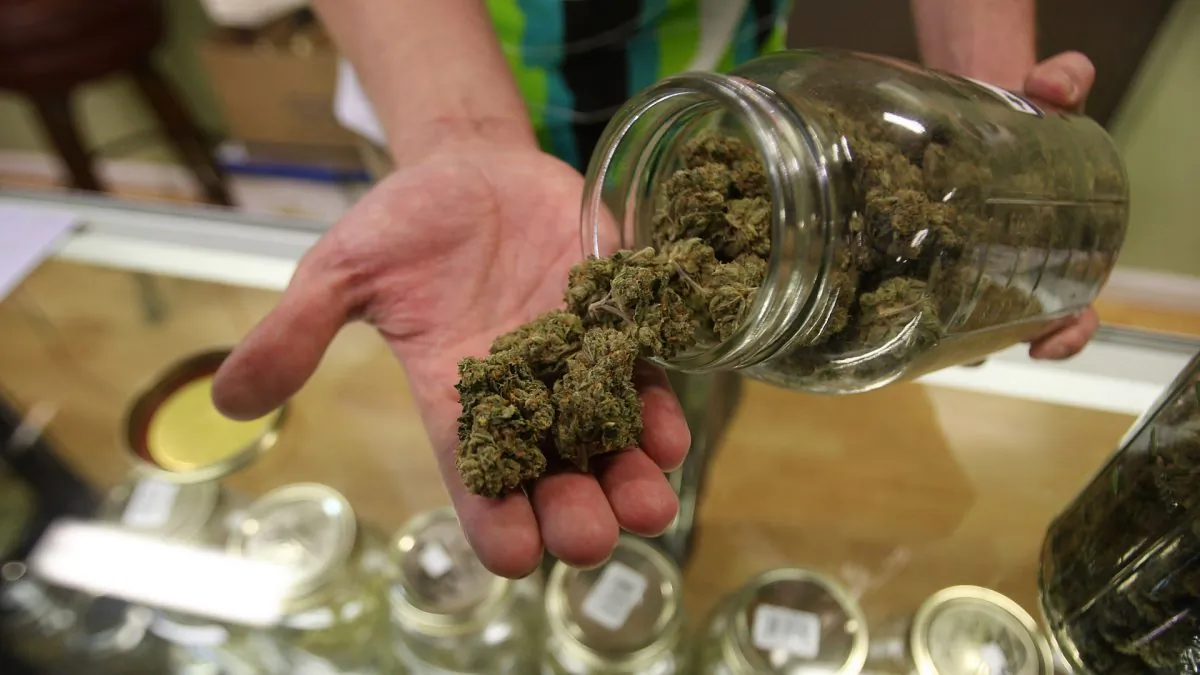 Cannabis can be mixed into foods or drinks. (David McNew/Getty Images)