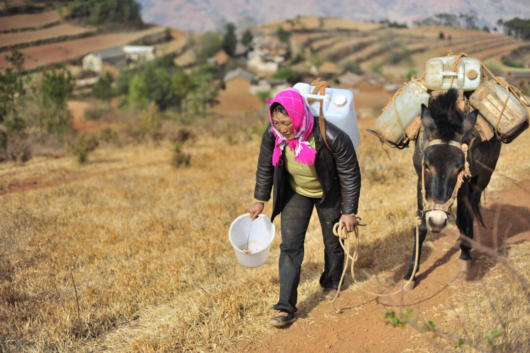 A Chinese villager uses her mule to carry containers of water collected from an underground well miles away from her village during a severe drought in Kunming, southwest China's Yunnan province on March 31, 2010. (STR/AFP/Getty Images)
