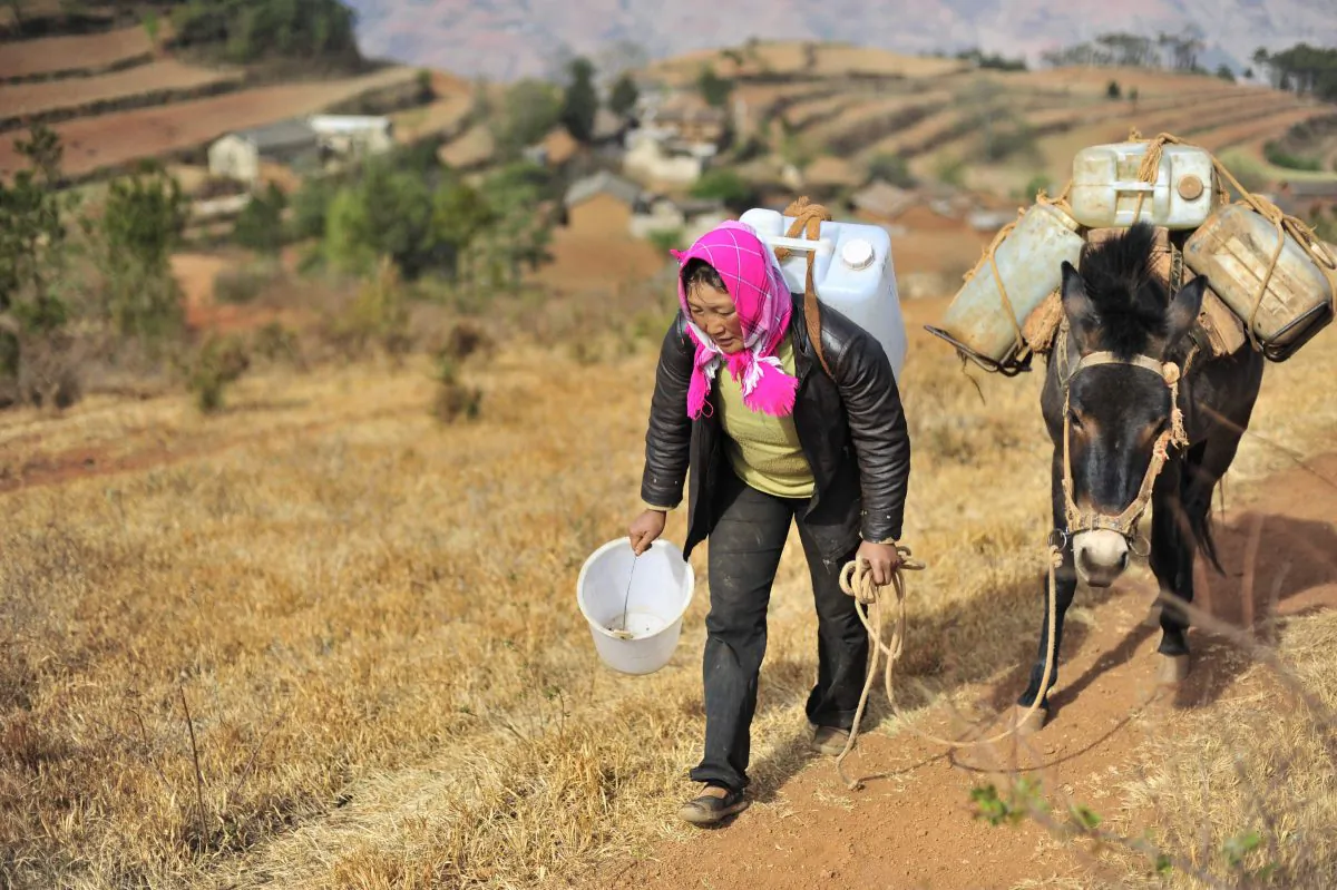 A Chinese villager uses her mule to carry containers of water collected from an underground well miles away from her village during a severe drought in Kunming, southwest China's Yunnan province on March 31, 2010. (STR/AFP/Getty Images)