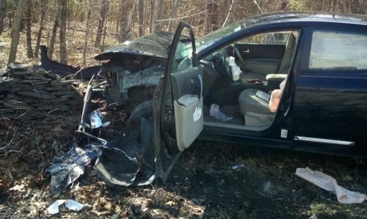 The driver of this car panicked and crashed the car after seeing a spider in the driver's area in Cairo, New York, on April 10, 2019. (Cairo New York Police Department)