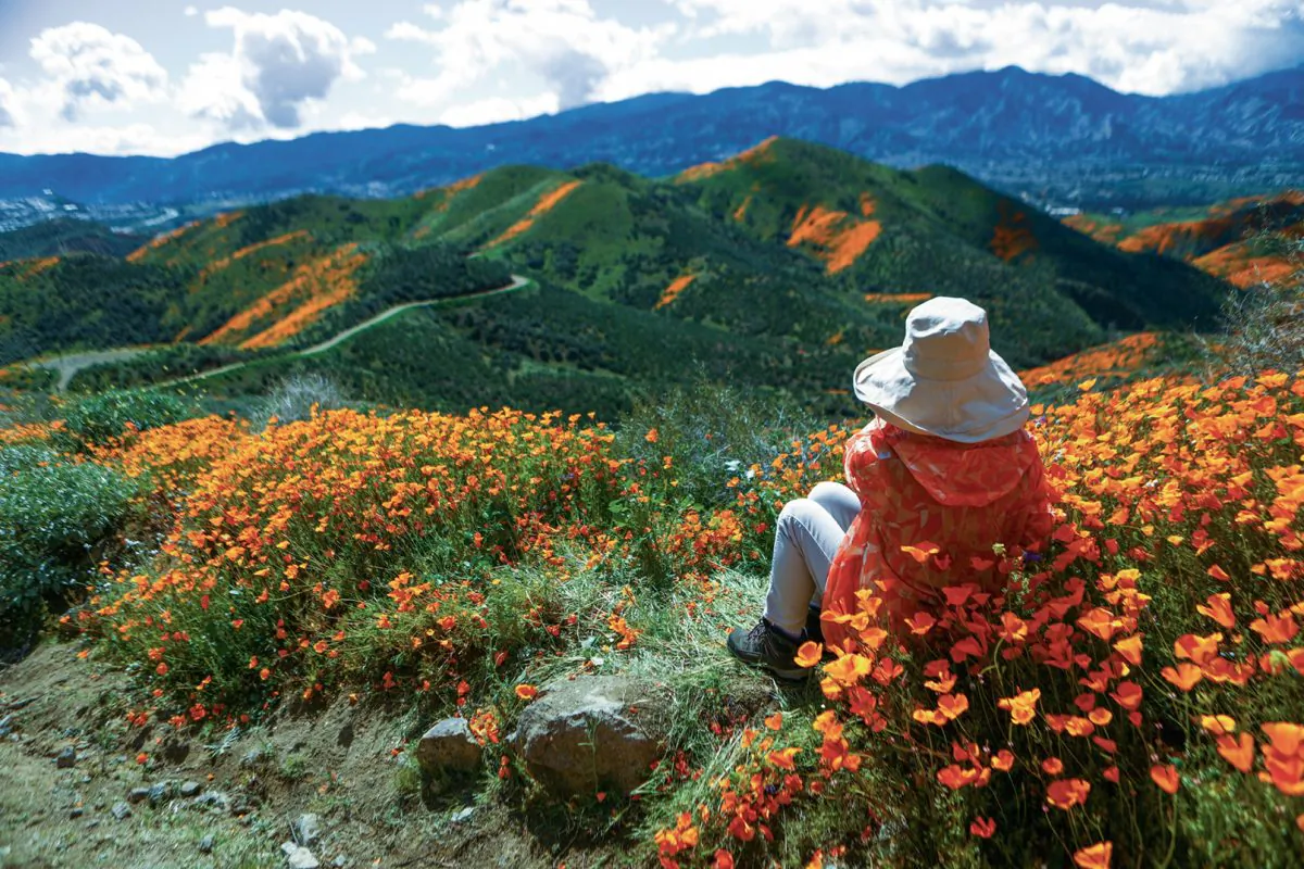 Between the likes, follows, and tweets, it can be hard to remember to stop and smell the flowers. (Mario Tama/Getty Images)