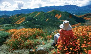 How Digital Minimalism Can Help You Reclaim Your Time and Your Life