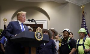 Fed Policy Hindered Economic Growth, Trump Says