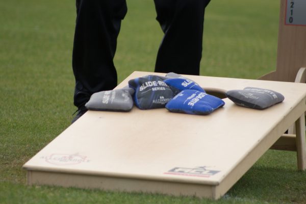 Board and bags