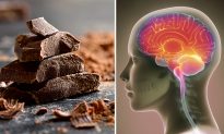 Eating Chocolate Is Good for Your Brain and Other Body Organs, Scientists Say