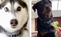 These Over-the-Top Reactions Caught on Camera Will Make You Giggle All Over Again
