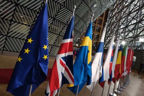 EU flags