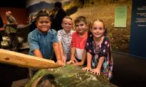 Pounamu: New Zealand’s Beloved Greenstone