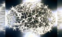 Scientist Says When We Die Our Brains Know We are Dead