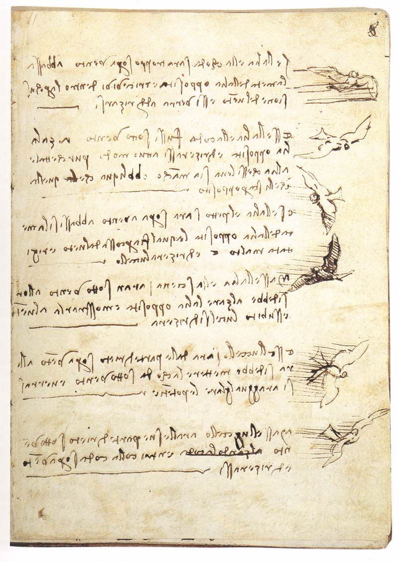 codex-on-the-flight-of-birds