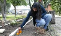 Dog Claws Its Way Out of Grave, Reunited With Owners Who Spotted Video on Social Media