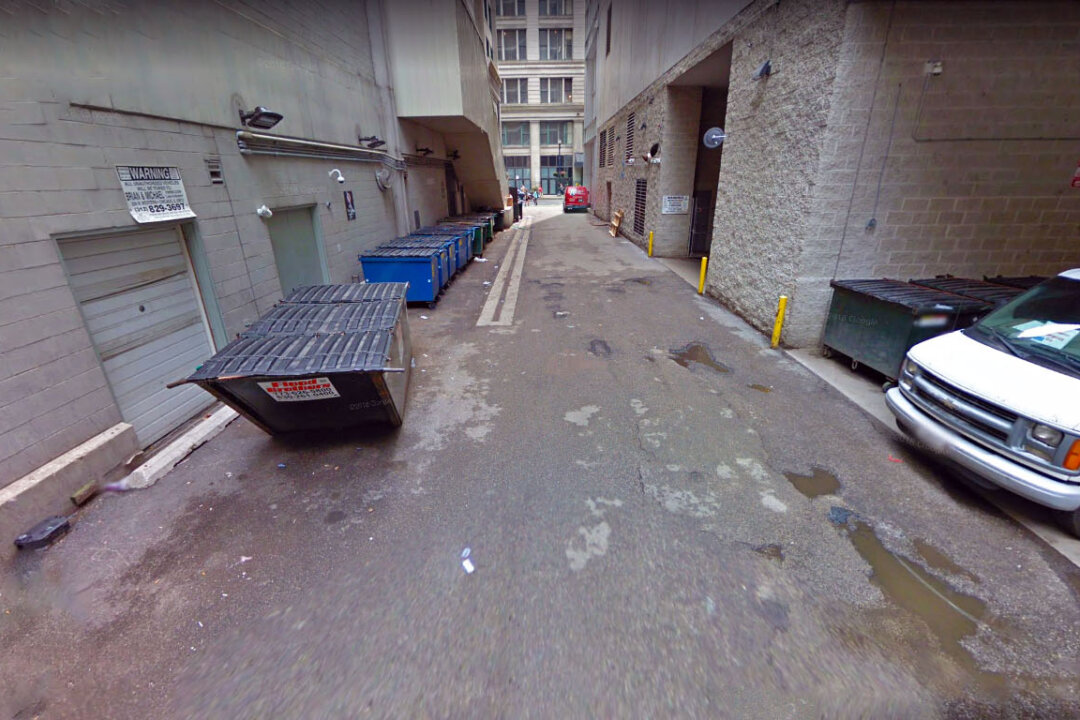 Five hearts have been found in an alley dumpster behind the 100 block of East Benton Place in Chicago, Ill., on April 19, 2019. (Screenshot/Google Maps)