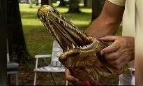 Man Catches 6-Foot ‘Pre-Historic’ Fish While Bowfishing in Oklahoma Lake