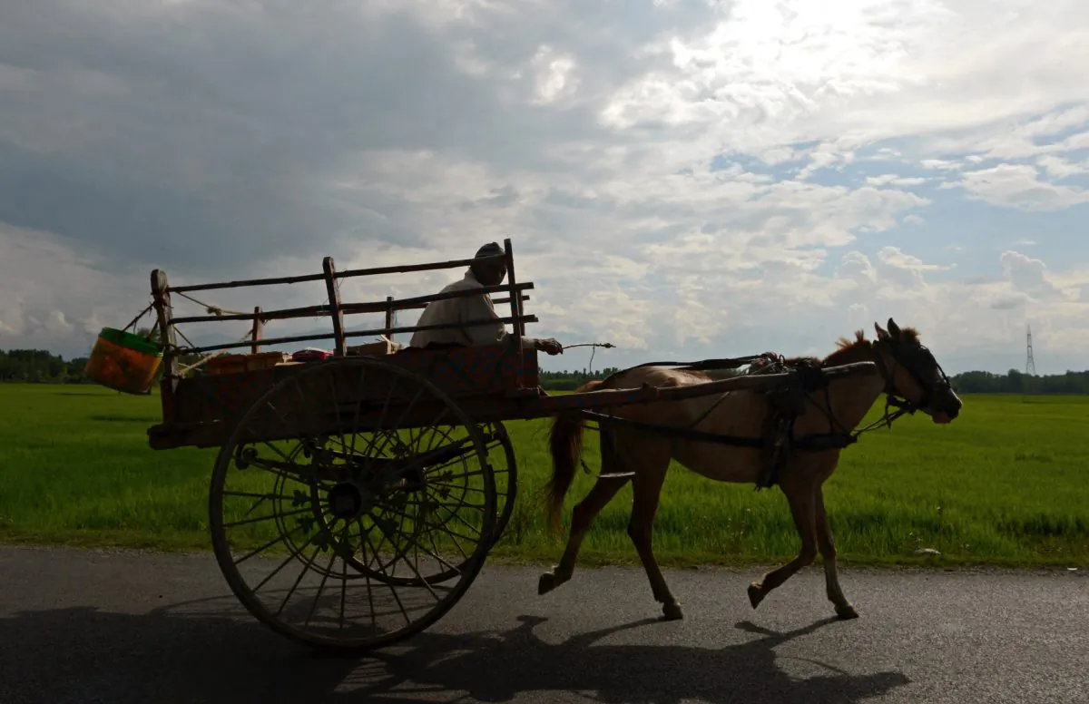 An Indian Kashmiri farmer rides a horse cart after a day's work on the outskirts of Srinagar on August 4, 2015. TAUSEEF MUSTAFA/AFP/Getty Images
