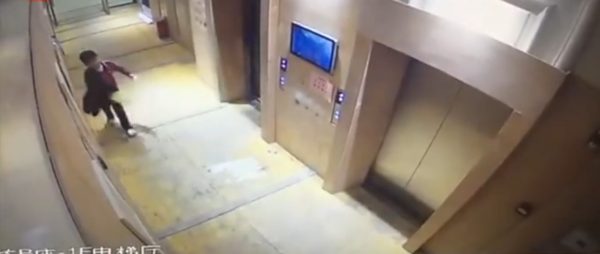 Elevator dogs