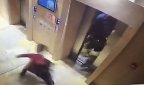 Elevator dogs