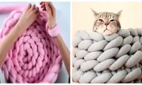 Easy-To-Make Ohhio Braided Pet Bed Adds Comfort and Style to Any Home