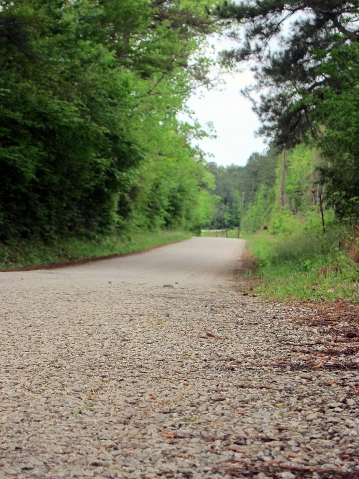 A section of Huff Creek Road, where James Byrd Jr. was dragged to death