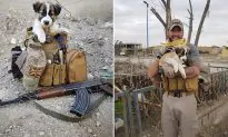 Ex-soldier Reunites With Puppy That He Saved From Rubble Pile in Syria