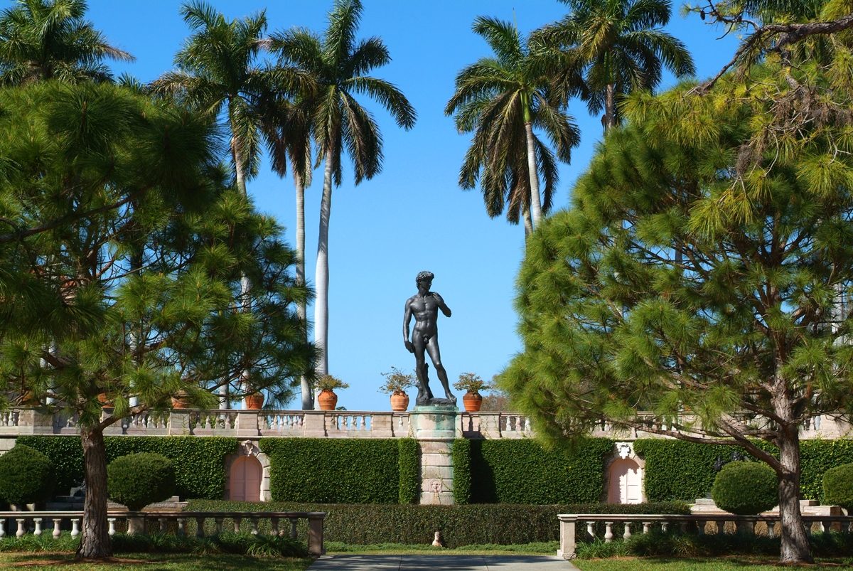 David Michelangelo Palm Trees