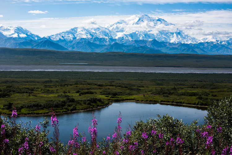 Denali is North America's tallest mountain, at 20,310 feet. (National Park Service)