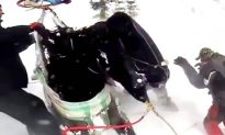 Stranded Horse Airlifted After Being Rescued by Snowmobilers