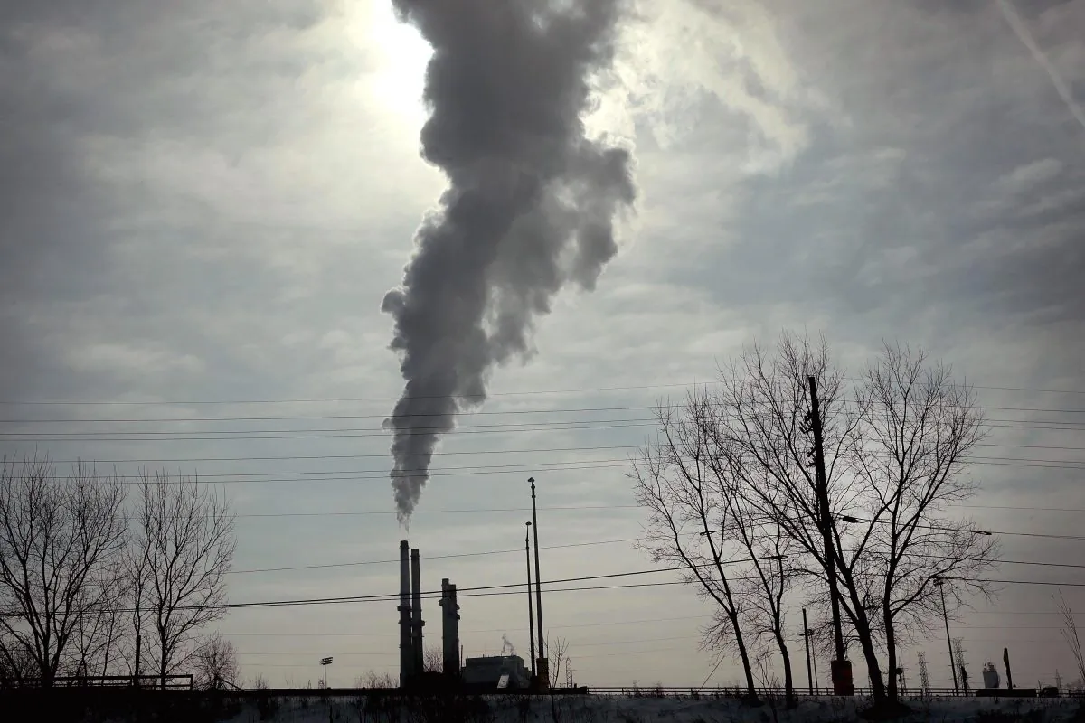 Smoke rises from a coal-fired power plant in Romeoville, Illinois, on Feb. 1, 2019. (Scott Olson/Getty Images)