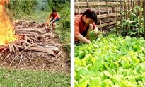 Watch How An Organic Vegetable Garden Is Created
