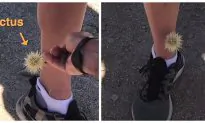 Hilarious Moments When Friends Fail You