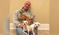 Heartbroken Man Who Was Saved by a Chihuahua Goes on a Mission Rescuing Over 50 Tiny Dogs
