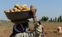 PepsiCo Offers to Settle With Indian Farmers After Suing Them for Growing Potato Used to Make Lay’s Chips