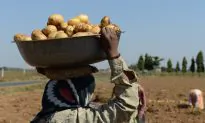 PepsiCo Offers to Settle With Indian Farmers After Suing Them for Growing Potato Used to Make Lay’s Chips