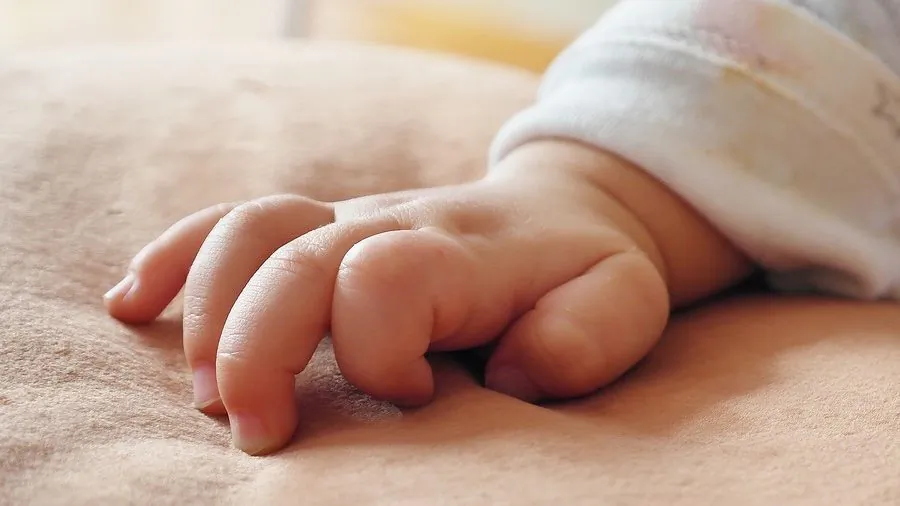 Image of a child's hand. (Rita E/Pixabay)