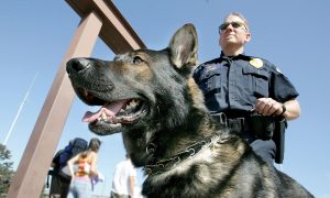 California Bill to Ban Police K-9s for Crowd Control, Arrests Advances in Legislature