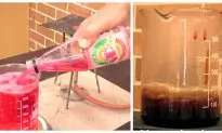 Teacher Reveals Just How Much Sugar Is in One Bottle of Soda — the Results Will Scare You