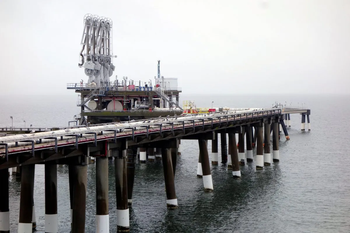 The pier at Dominion's Cove Point liquefied natural gas (LNG) plant on Maryland's Chesapeake Bay on Feb. 5, 2014. (Timothy Gardner/File Photo/Reuters)