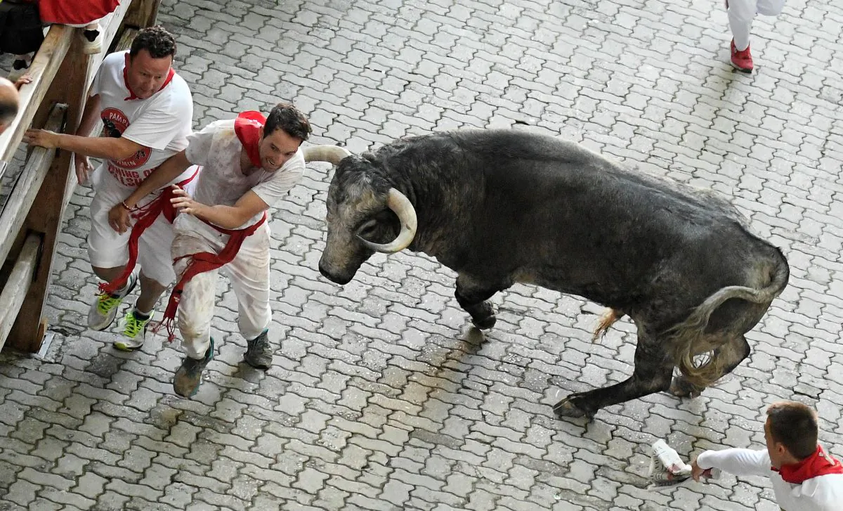 Participants run next to Cebada Gago fighting bull on the third day of the San Fermin bull run festival in Pamplona, northern Spain on July 9, 2018. Each day at 8am hundreds of people race with six bulls, charging along a winding, 848.6-metre (more than half a mile) course through narrow streets to the city's bull ring, where the animals are killed in a bullfight. (Jose Jordan/AFP/Getty Images)