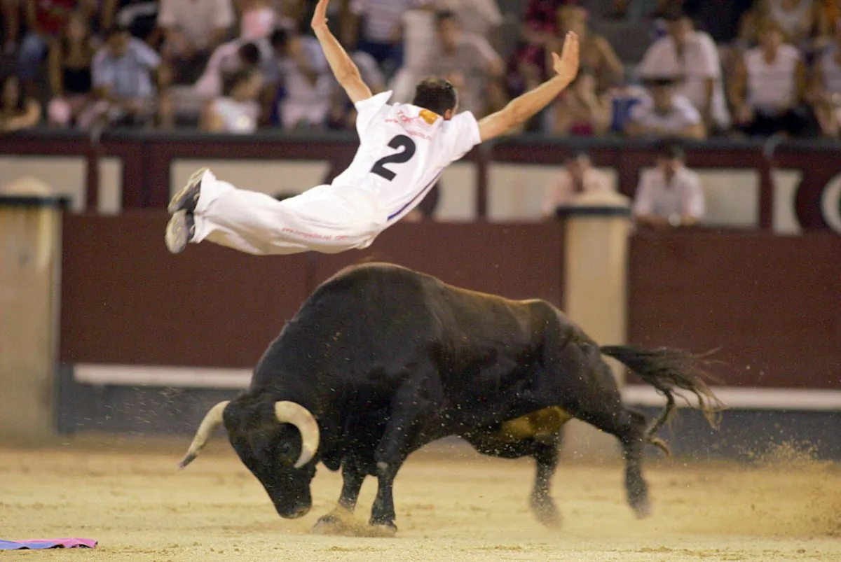 A Spanish "recortador" jumps over a bull during a show in Madrid on July 24, 2005. (Samuel Aranda/AFP/Getty Images)