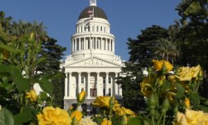 Opposition, Alternatives Voiced For Sex Education in California Public Schools