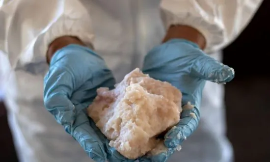 Authorities Find Massive Meth Stash Stuffed in Suitcases in Washington Forest