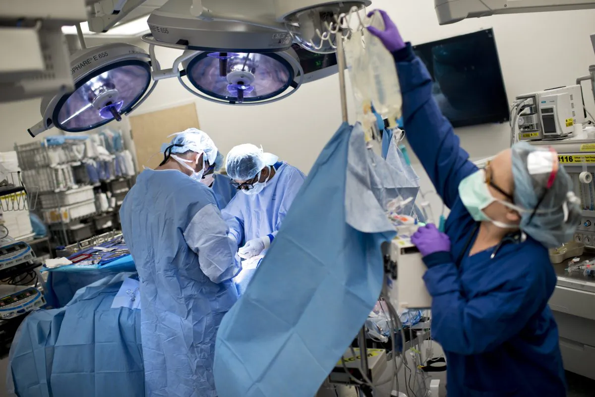 A kidney is sewn into a recipient patient during a kidney transplant at Johns Hopkins Hospital in Baltimore, Maryland, on June 26, 2012. (BRENDAN SMIALOWSKI/AFP/GettyImages)