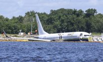 Missing Pets Involved in Jacksonville Plane Crash Found, Says US Navy