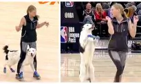 Video: Girl and Border Collie Show Fancy Moves, Leaving Audience in Awe