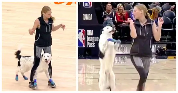 Video: Girl and Border Collie Show Fancy Moves, Leaving Audience in Awe