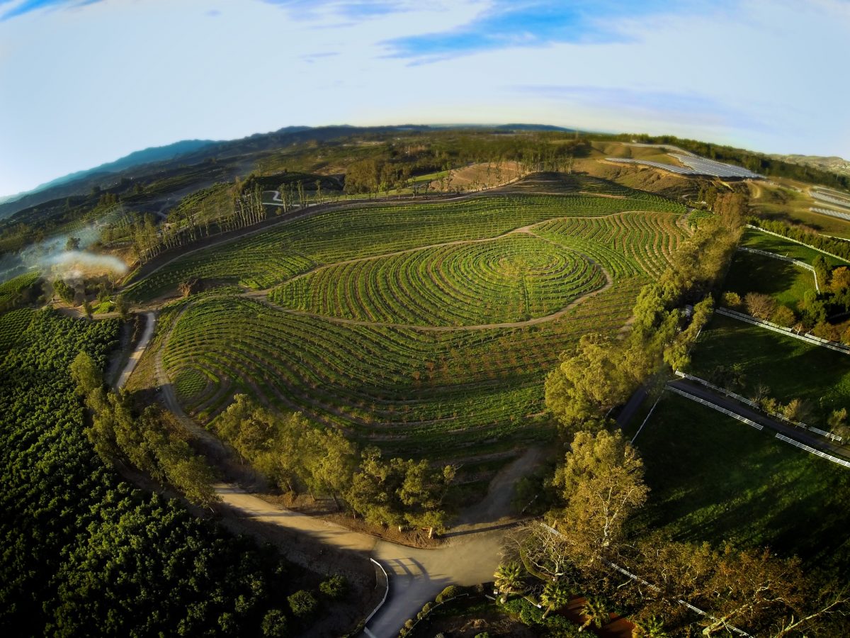 aerial photo of a farm