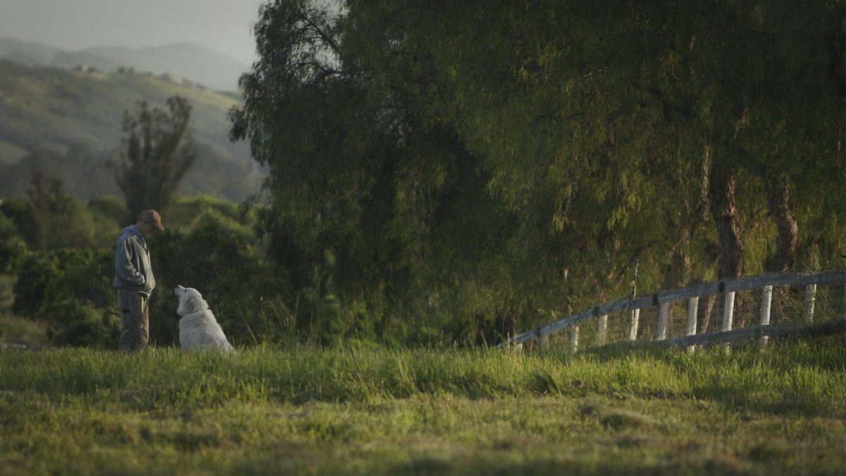 man and white dog