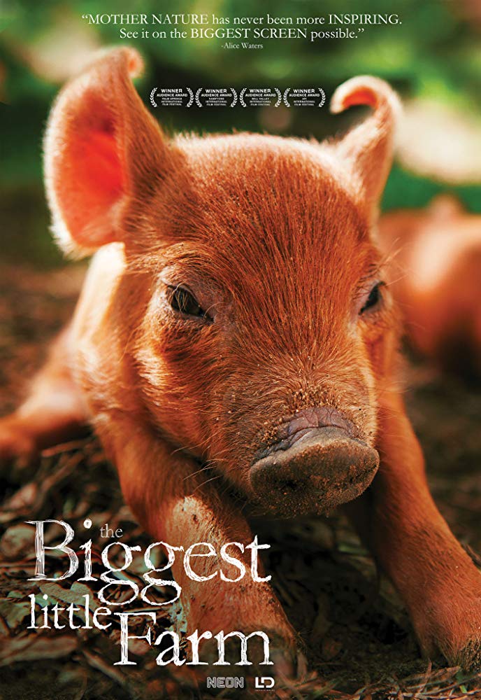 piglet